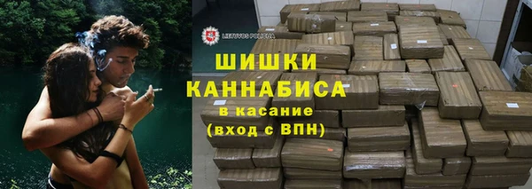 spice Богородск