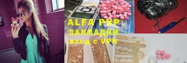spice Богородск