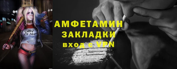 spice Богородск