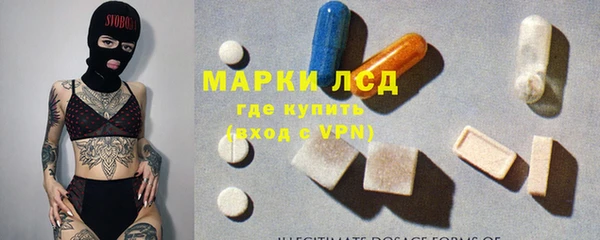 spice Богородск