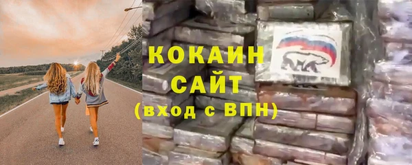 spice Богородск