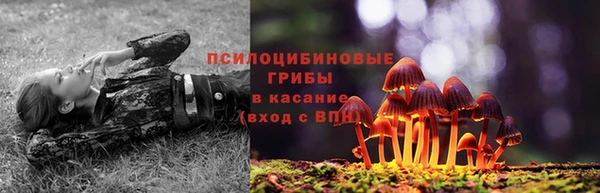 кокаин премиум Богданович