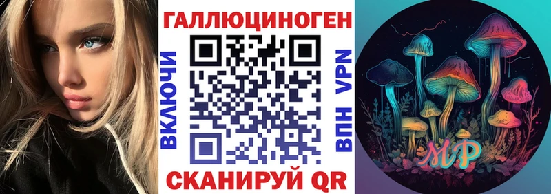 цены   Семёнов  Псилоцибиновые грибы GOLDEN TEACHER 